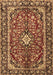 Medallion Brown Traditional Rug, tr4331brn