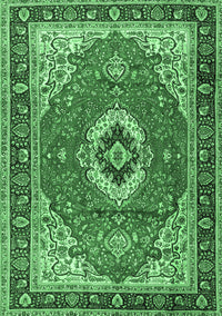 Persian Emerald Green Traditional Rug, tr4333emgrn