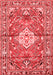 Medallion Red Traditional Area Rugs