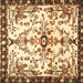 Square Machine Washable Animal Brown Traditional Rug, wshtr4343brn