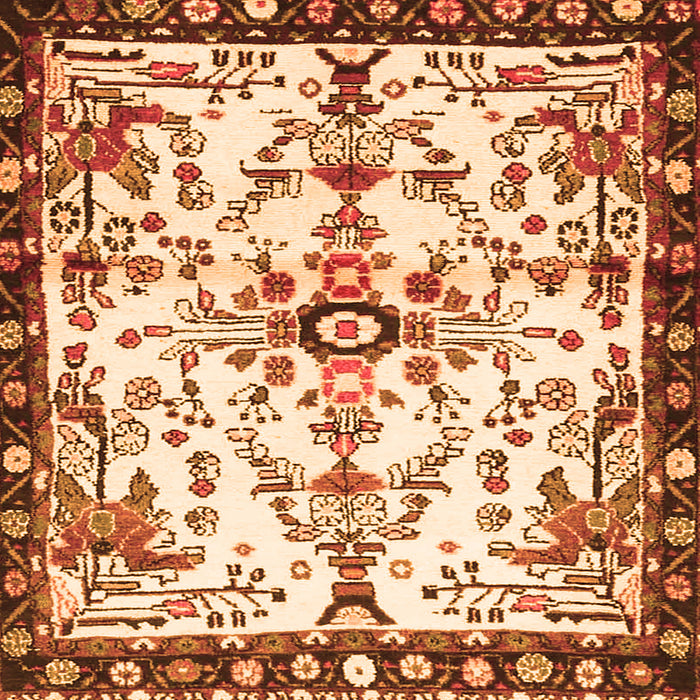 Round Machine Washable Animal Orange Traditional Area Rugs, wshtr4343org