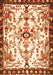 Animal Orange Traditional Rug, tr4343org