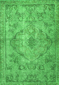 Persian Green Traditional Rug, tr4347grn