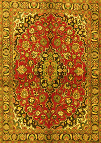 Medallion Yellow Traditional Rug, tr4352yw