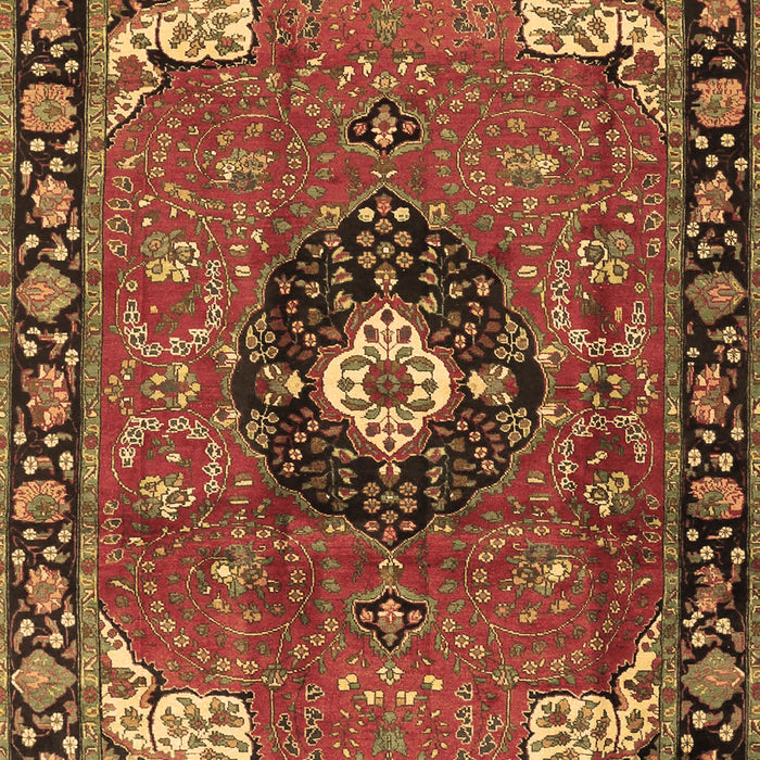 Medallion Brown Traditional Rug, tr4353brn