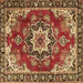 Square Medallion Brown Traditional Rug, tr4354brn