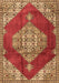 Medallion Brown Traditional Rug, tr4356brn