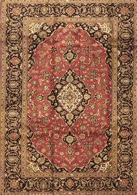 Medallion Brown Traditional Rug, tr4357brn