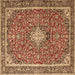 Square Medallion Brown Traditional Rug, tr4358brn