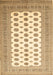 Machine Washable Persian Brown Traditional Rug, wshtr435brn