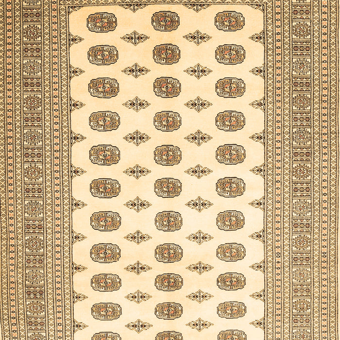 Machine Washable Persian Brown Traditional Rug, wshtr435brn