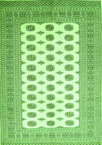 Persian Green Traditional Rug, tr435grn