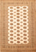 Persian Orange Traditional Rug, tr435org