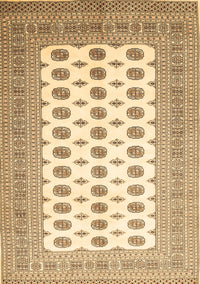 Persian Brown Traditional Rug, tr435brn