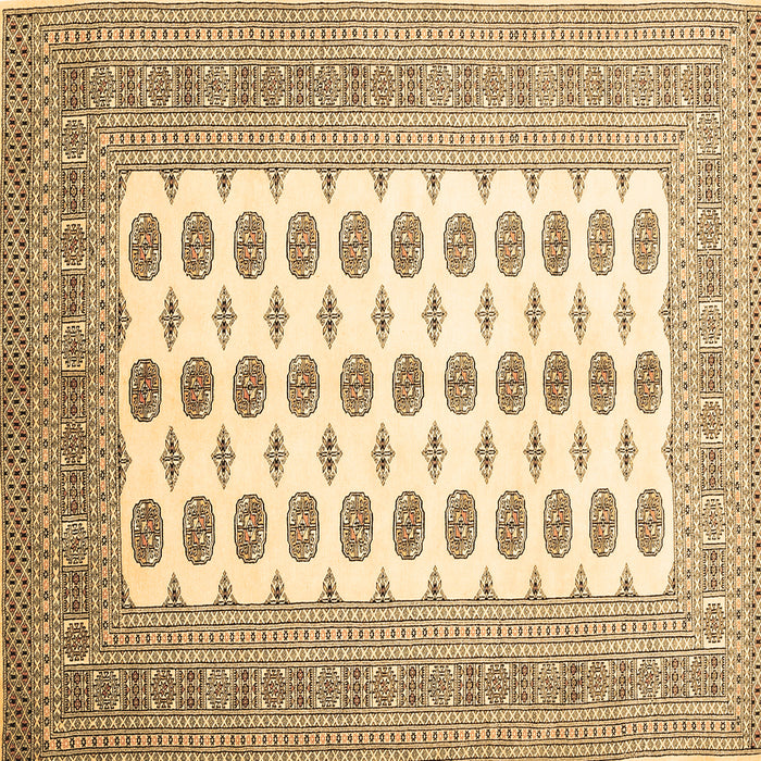 Square Persian Brown Traditional Rug, tr435brn