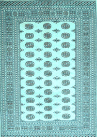 Persian Light Blue Traditional Rug, tr435lblu