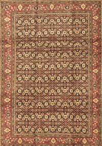 Persian Brown Traditional Rug, tr4360brn