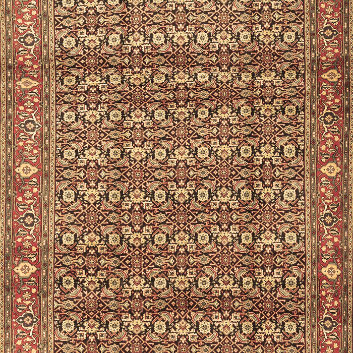 Persian Brown Traditional Rug, tr4360brn