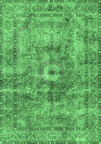 Persian Emerald Green Traditional Rug, tr4361emgrn