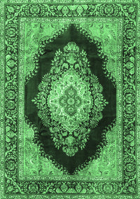 Medallion Emerald Green Traditional Rug, tr4364emgrn