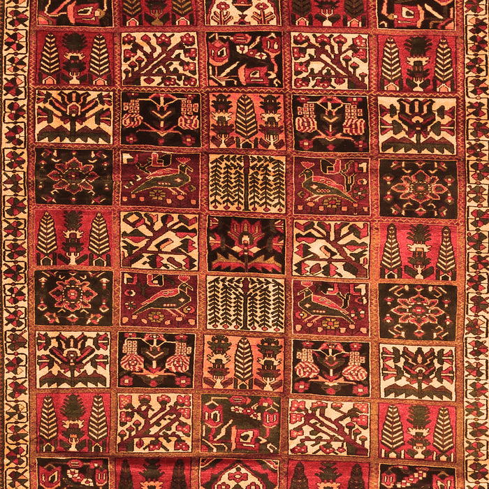 Serging Thickness of Machine Washable Animal Orange Traditional Area Rugs, wshtr4365org