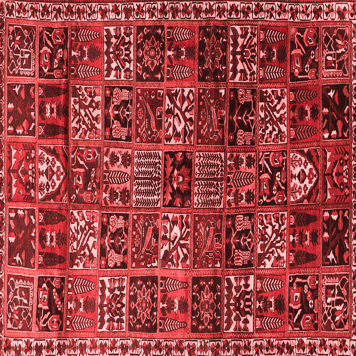Machine Washable Animal Red Traditional Rug, wshtr4365red