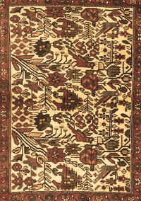 Persian Brown Traditional Rug, tr4367brn