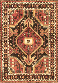 Medallion Brown Traditional Rug, tr4368brn