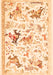 Animal Orange Traditional Rug, tr436org