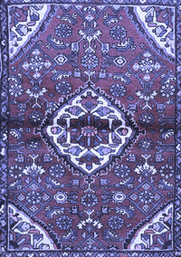 Medallion Blue Traditional Rug, tr4370blu