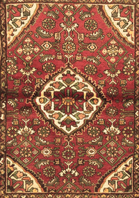 Medallion Brown Traditional Rug, tr4370brn