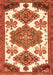 Serging Thickness of Machine Washable Persian Orange Traditional Area Rugs, wshtr4372org