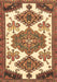 Persian Brown Traditional Rug, tr4372brn