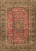 Machine Washable Persian Brown Traditional Rug, wshtr4374brn