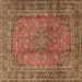 Square Persian Brown Traditional Rug, tr4374brn