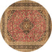 Round Machine Washable Persian Brown Traditional Rug, wshtr4375brn