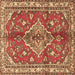 Square Machine Washable Persian Brown Traditional Rug, wshtr4376brn