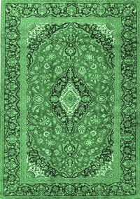 Medallion Emerald Green Traditional Rug, tr4379emgrn