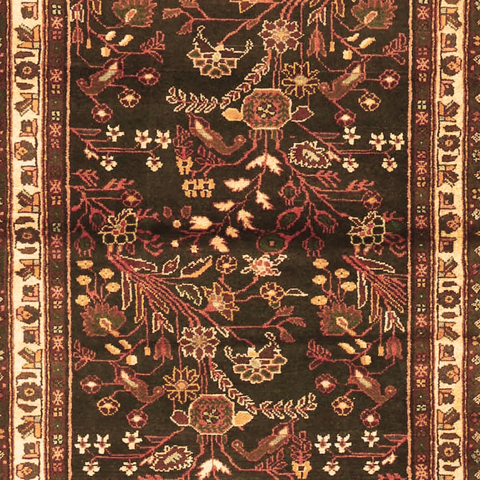 Machine Washable Persian Brown Traditional Rug, wshtr4387brn
