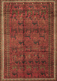 Persian Brown Traditional Rug, tr4388brn