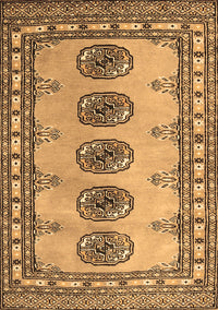 Southwestern Brown Country Rug, tr438brn