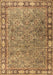 Machine Washable Animal Brown Traditional Rug, wshtr4394brn