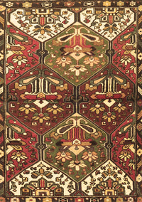 Persian Brown Traditional Rug, tr4397brn