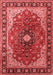 Medallion Red Traditional Area Rugs