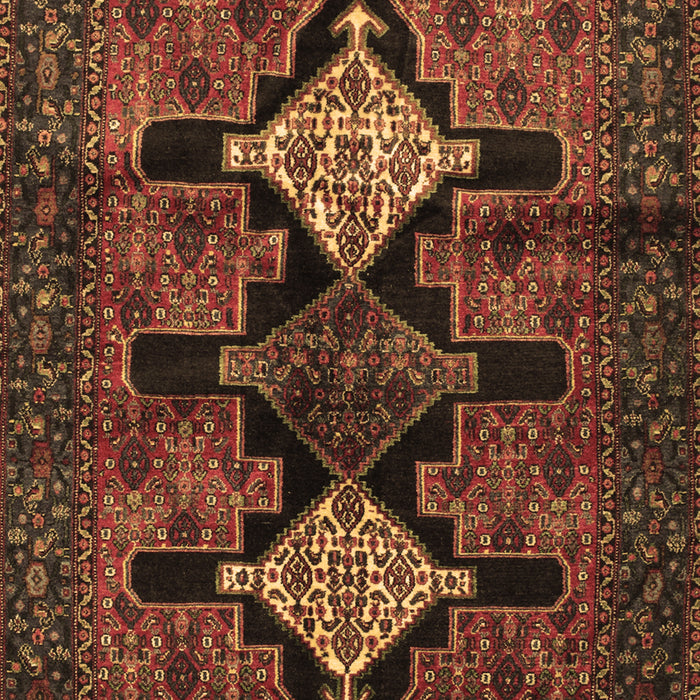 Machine Washable Persian Brown Traditional Rug, wshtr43brn