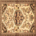 Square Machine Washable Persian Brown Traditional Rug, wshtr4400brn