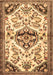 Machine Washable Persian Brown Traditional Rug, wshtr4400brn