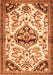 Serging Thickness of Machine Washable Persian Orange Traditional Area Rugs, wshtr4400org