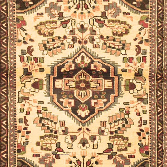 Persian Brown Traditional Rug, tr4400brn