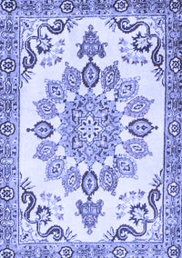 Medallion Blue Traditional Rug, tr4403blu